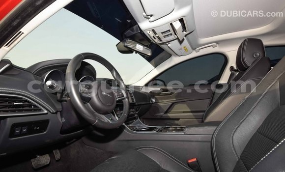 Buy Import Jaguar XE Red Car in Import - Dubai in Conakry Buy Import Jaguar XE Red Car in Import - Dubai in Conakry
