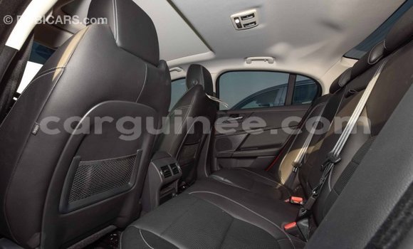 Buy Import Jaguar XE Red Car in Import - Dubai in Conakry Buy Import Jaguar XE Red Car in Import - Dubai in Conakry