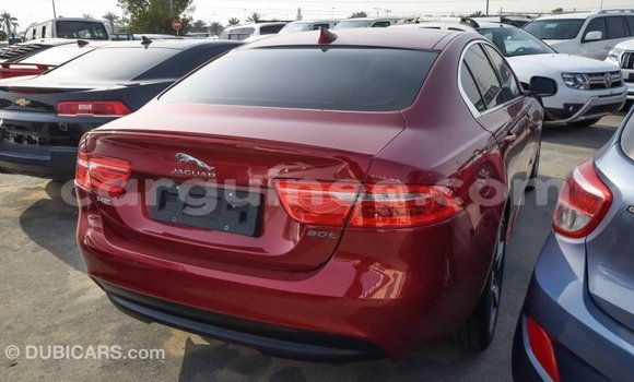 Buy Import Jaguar XE Red Car in Import - Dubai in Conakry Buy Import Jaguar XE Red Car in Import - Dubai in Conakry