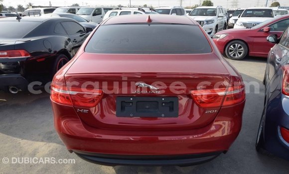 Buy Import Jaguar XE Red Car in Import - Dubai in Conakry Buy Import Jaguar XE Red Car in Import - Dubai in Conakry