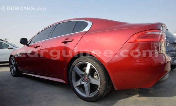 Buy Import Jaguar XE Red Car in Import - Dubai in Conakry Buy Import Jaguar XE Red Car in Import - Dubai in Conakry