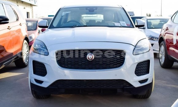 Buy Import Jaguar E-Pace White Car in Import - Dubai in Conakry Buy Import Jaguar E-Pace White Car in Import - Dubai in Conakry