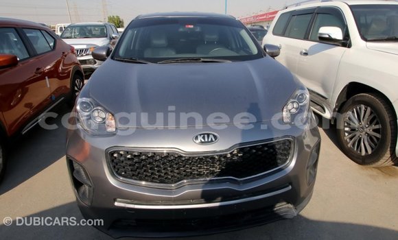 Buy Import Kia Sportage Other Car in Import - Dubai in Conakry Buy Import Kia Sportage Other Car in Import - Dubai in Conakry