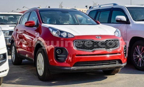 Buy Import Kia Sportage Red Car in Import - Dubai in Conakry Buy Import Kia Sportage Red Car in Import - Dubai in Conakry