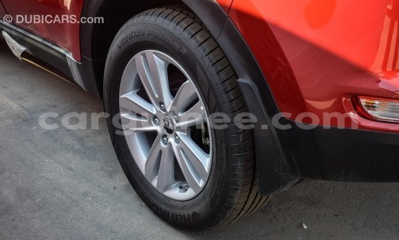 Buy Import Kia Sportage Red Car in Import - Dubai in Conakry Buy Import Kia Sportage Red Car in Import - Dubai in Conakry