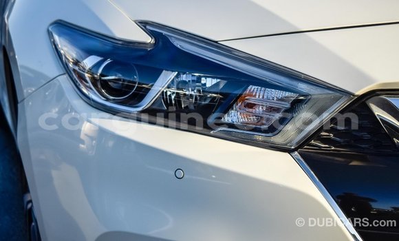 Buy Import Nissan Maxima White Car in Import - Dubai in Conakry Buy Import Nissan Maxima White Car in Import - Dubai in Conakry