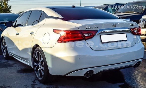 Buy Import Nissan Maxima White Car in Import - Dubai in Conakry Buy Import Nissan Maxima White Car in Import - Dubai in Conakry