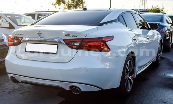 Buy Import Nissan Maxima White Car in Import - Dubai in Conakry Buy Import Nissan Maxima White Car in Import - Dubai in Conakry