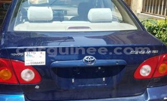Acheter Occasion Voiture Toyota Corolla Bleu à Kaloum au Conakry Acheter Occasion Voiture Toyota Corolla Bleu à Kaloum au Conakry