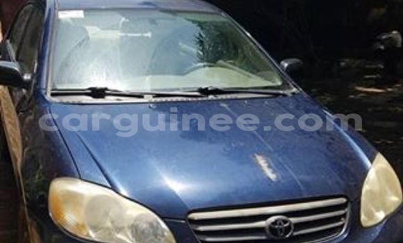 Acheter Occasion Voiture Toyota Corolla Bleu à Kaloum, Conakry Acheter Occasion Voiture Toyota Corolla Bleu à Kaloum, Conakry
