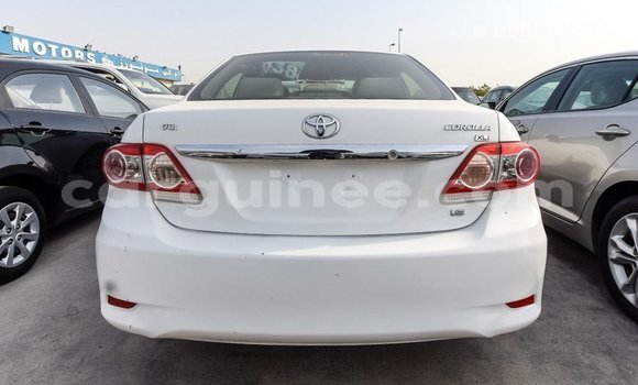 Buy Import Toyota Corolla White Car in Import - Dubai in Conakry Buy Import Toyota Corolla White Car in Import - Dubai in Conakry