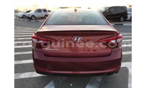 Acheter Import Voiture Hyundai Sonata Rouge à Import - Dubai, Conakry Acheter Import Voiture Hyundai Sonata Rouge à Import - Dubai, Conakry