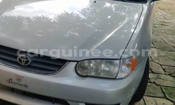 Acheter Occasion Voiture Toyota Corolla Gris à Kaloum, Conakry Acheter Occasion Voiture Toyota Corolla Gris à Kaloum, Conakry