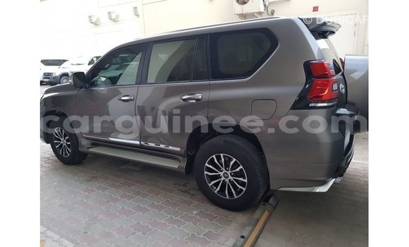 Buy Import Toyota Prado Brown Car in Import - Dubai in Conakry Buy Import Toyota Prado Brown Car in Import - Dubai in Conakry