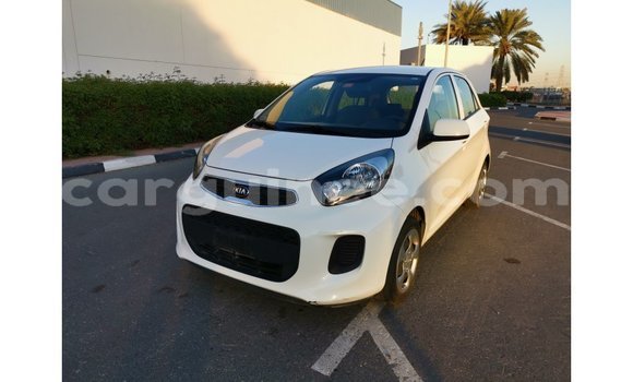 Buy Import Kia Picanto White Car in Import - Dubai in Conakry Buy Import Kia Picanto White Car in Import - Dubai in Conakry