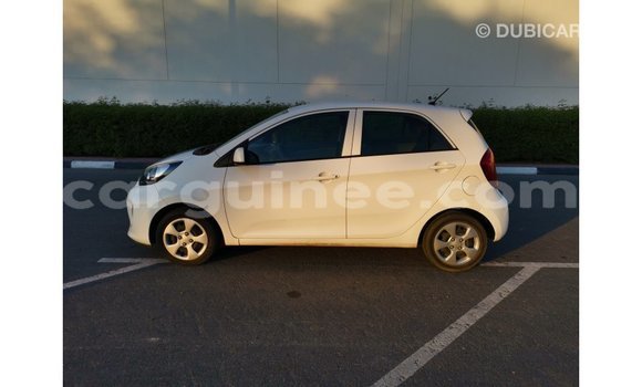 Buy Import Kia Picanto White Car in Import - Dubai in Conakry Buy Import Kia Picanto White Car in Import - Dubai in Conakry