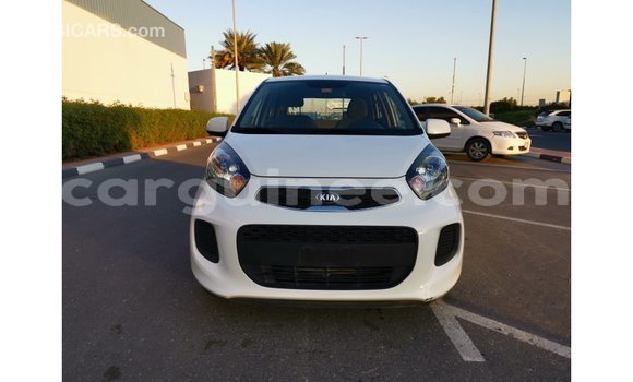 Buy Import Kia Picanto White Car in Import - Dubai in Conakry Buy Import Kia Picanto White Car in Import - Dubai in Conakry