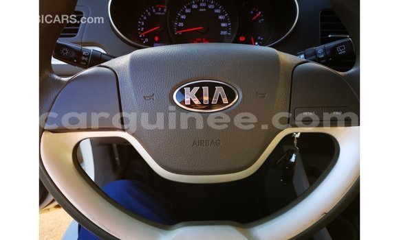 Buy Import Kia Picanto White Car in Import - Dubai in Conakry Buy Import Kia Picanto White Car in Import - Dubai in Conakry