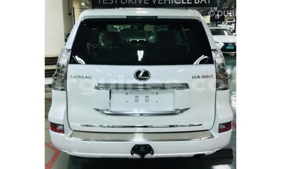 Buy Import Lexus GX White Car in Import - Dubai in Conakry Buy Import Lexus GX White Car in Import - Dubai in Conakry