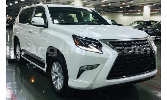 Buy Import Lexus GX White Car in Import - Dubai in Conakry Buy Import Lexus GX White Car in Import - Dubai in Conakry
