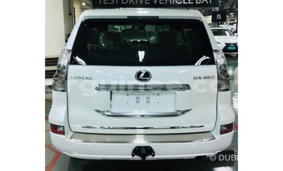 Buy Import Lexus GX White Car in Import - Dubai in Conakry Buy Import Lexus GX White Car in Import - Dubai in Conakry