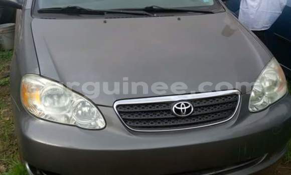 Acheter Neuf Voiture Toyota Corolla Noir à Ratoma au Conakry Acheter Neuf Voiture Toyota Corolla Noir à Ratoma au Conakry