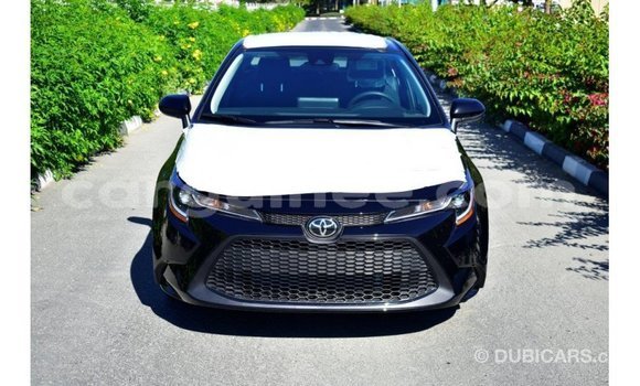 Buy Import Toyota Corolla Black Car in Import - Dubai in Conakry Buy Import Toyota Corolla Black Car in Import - Dubai in Conakry