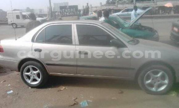 Acheter Occasion Voiture Toyota Corolla Gris à Kaloum au Conakry Acheter Occasion Voiture Toyota Corolla Gris à Kaloum au Conakry