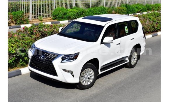 Buy Import Lexus GX White Car in Import - Dubai in Conakry Buy Import Lexus GX White Car in Import - Dubai in Conakry