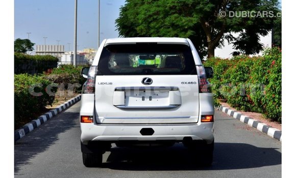 Buy Import Lexus GX White Car in Import - Dubai in Conakry Buy Import Lexus GX White Car in Import - Dubai in Conakry