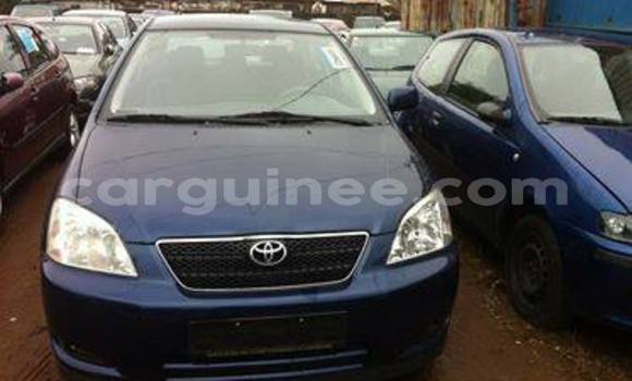 Buy Used Toyota Corolla Blue Car in Kankan in Kankan Buy Used Toyota Corolla Blue Car in Kankan in Kankan