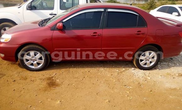 Acheter Occasion Voiture Toyota Corolla Rouge à Kankan, Kankan Acheter Occasion Voiture Toyota Corolla Rouge à Kankan, Kankan
