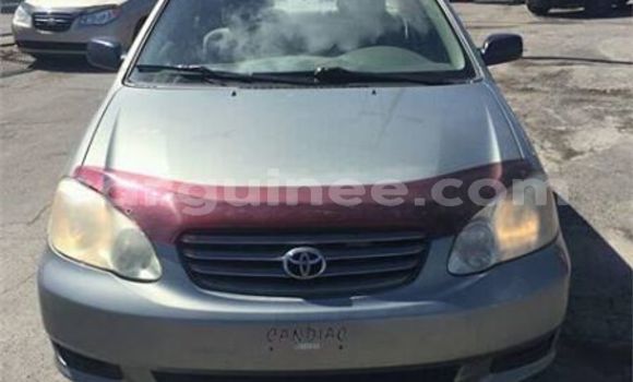 Acheter Occasion Voiture Toyota Corolla Blanc à Conakry, Conakry Acheter Occasion Voiture Toyota Corolla Blanc à Conakry, Conakry