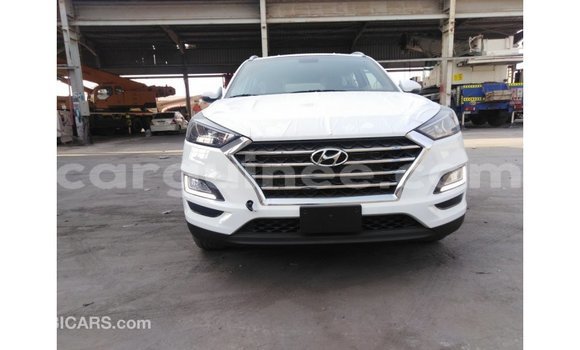 Buy Import Hyundai Tucson White Car in Import - Dubai in Conakry Buy Import Hyundai Tucson White Car in Import - Dubai in Conakry