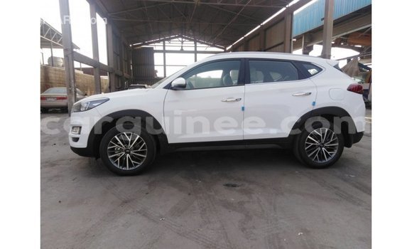 Buy Import Hyundai Tucson White Car in Import - Dubai in Conakry Buy Import Hyundai Tucson White Car in Import - Dubai in Conakry