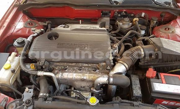 Buy Used Nissan Almera Red Car in Boke in Boke Buy Used Nissan Almera Red Car in Boke in Boke