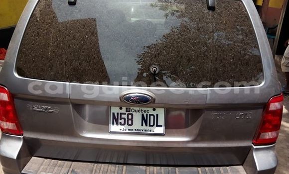 Buy Used Ford Escape Silver Car in Boke in Boke Buy Used Ford Escape Silver Car in Boke in Boke