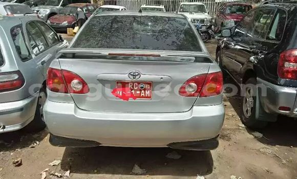 Acheter Occasion Voiture Toyota Corolla Gris à Conakry, Conakry Acheter Occasion Voiture Toyota Corolla Gris à Conakry, Conakry