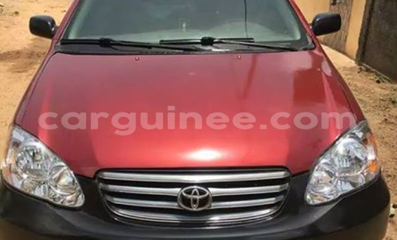 Acheter Occasion Voiture Toyota Corolla Rouge à Conakry, Conakry Acheter Occasion Voiture Toyota Corolla Rouge à Conakry, Conakry