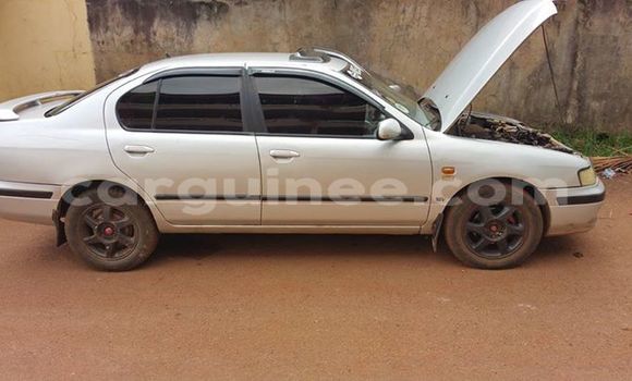 Buy Used Nissan Primera Silver Car in Conakry in Conakry Buy Used Nissan Primera Silver Car in Conakry in Conakry