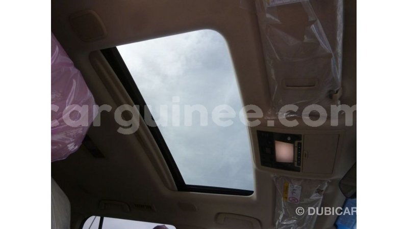 Big with watermark toyota land cruiser conakry import dubai 4599