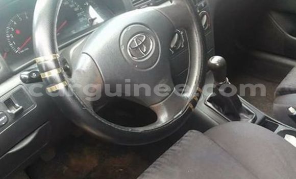 Buy Used Toyota Corolla Green Car in Conakry in Conakry Buy Used Toyota Corolla Green Car in Conakry in Conakry