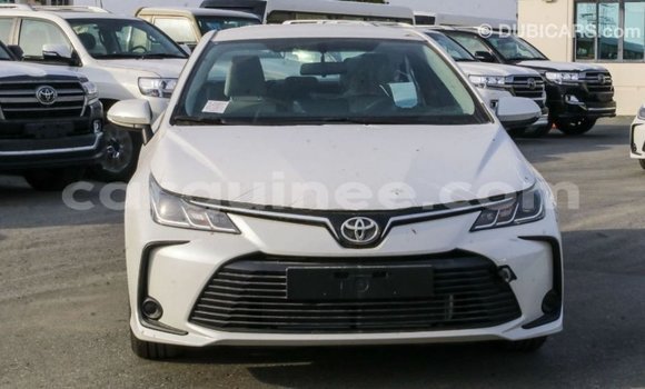 Buy Import Toyota Corolla White Car in Import - Dubai in Conakry Buy Import Toyota Corolla White Car in Import - Dubai in Conakry
