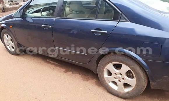 Buy Used Nissan Primera Blue Car in Conakry in Conakry Buy Used Nissan Primera Blue Car in Conakry in Conakry