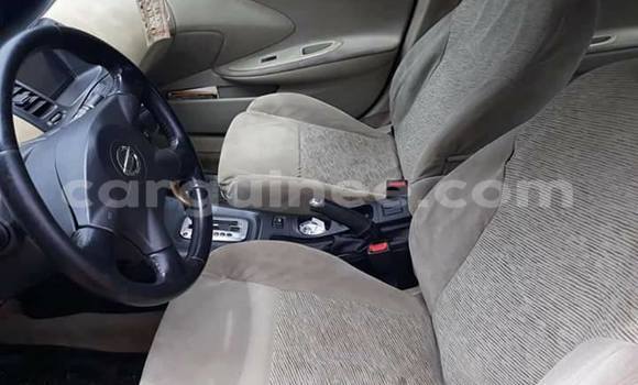 Buy Used Nissan Primera Blue Car in Conakry in Conakry Buy Used Nissan Primera Blue Car in Conakry in Conakry