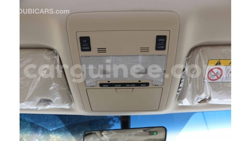 Big with watermark toyota land cruiser conakry import dubai 4887