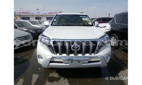 Acheter Import Voiture Toyota Prado Blanc à Import - Dubai, Conakry Acheter Import Voiture Toyota Prado Blanc à Import - Dubai, Conakry