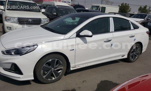 Buy Import Hyundai Sonata White Car in Import - Dubai in Conakry Buy Import Hyundai Sonata White Car in Import - Dubai in Conakry