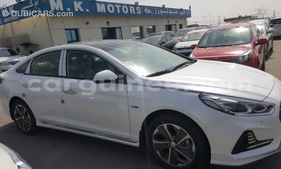 Buy Import Hyundai Sonata White Car in Import - Dubai in Conakry Buy Import Hyundai Sonata White Car in Import - Dubai in Conakry