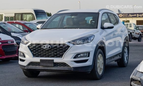 Buy Import Hyundai Tucson White Car in Import - Dubai in Conakry Buy Import Hyundai Tucson White Car in Import - Dubai in Conakry